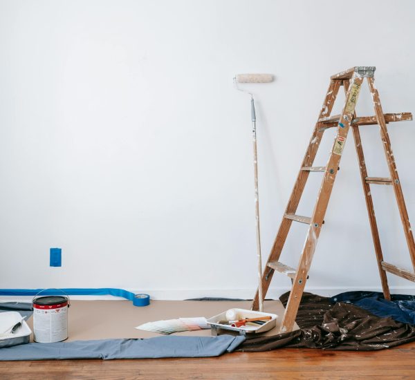 pexels-blue-bird-7218525